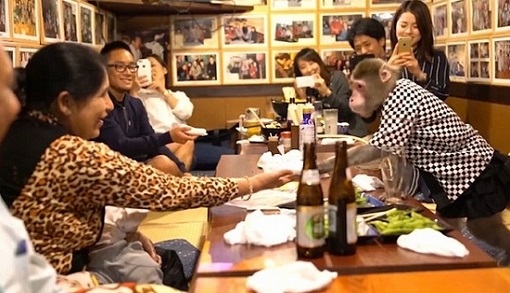 �ձ�һ�ƹݡ���Ӷ�����ӵ�����Ա �㽶�������ʡ�