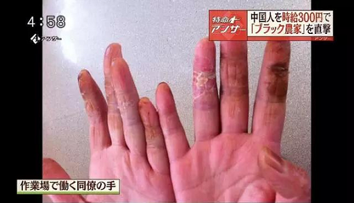 �����������ʵ�ǸУ��й�����������Ϊ���¹�Ƶ����