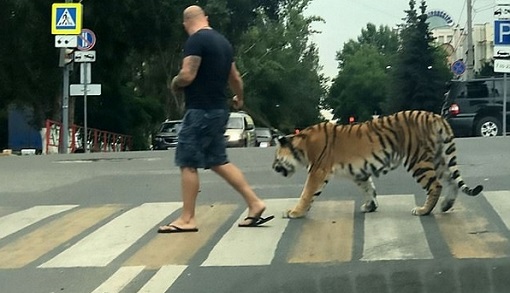 �������������Ͻ����ϻ��Ż�·��������������