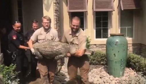 ����֮�ͣ�쫷������һ���Ӽ��о�������