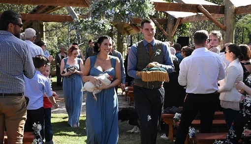 �ķ��ԼҹȲְ���� ������¿���ﱧ��