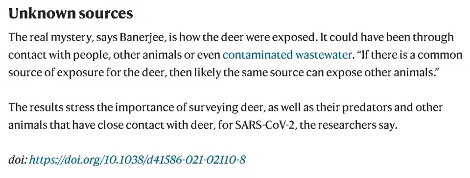 环球深观察丨美式“政治病毒”之恶:拼命掩盖的真相是什么