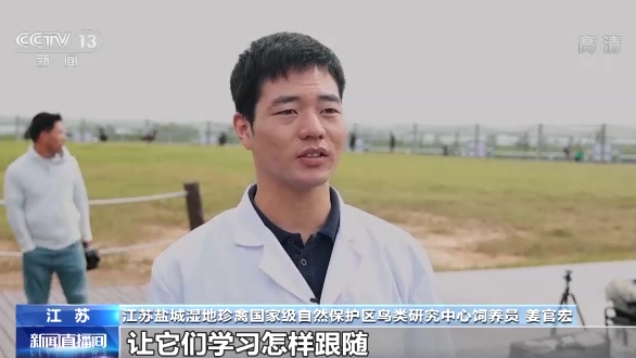 世界候鸟日丨我国生态环境持续改善 吸引候鸟驻足“加油”