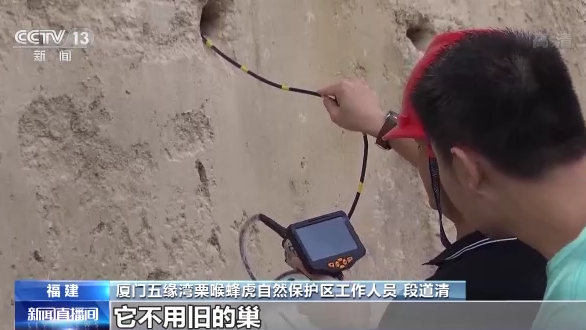 世界候鸟日丨我国生态环境持续改善 吸引候鸟驻足“加油”