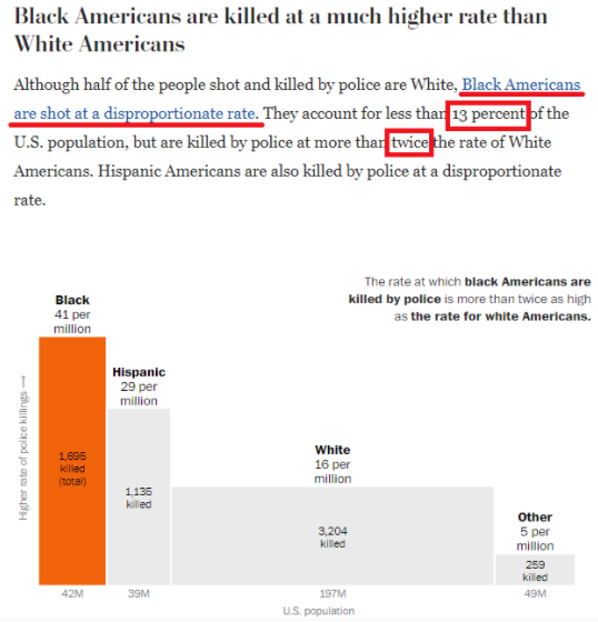 “美国的法律制度就是根据种族给人定罪的”