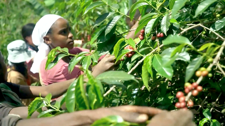 �ӡ���д�⡱�������ʻ���ح¬������ȴ�ʹ��