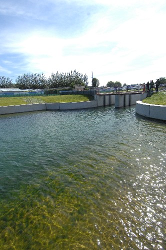 这是南水北调中线京石段应急供水工程北京西四环暗涵出口处(9月26日摄)。为了弥补2008年北京市当地供水水源地的供水缺口,河北省通过南水北调中线京石段应急供水工程总干渠,向北京供水。 这次调水水源地为河北省岗南、黄壁庄和王快三座大型水库,调水目的地为北京市团城湖。调水从2008年9月18日开始放水,28日进入北京,至2009年3月中下旬放水结束,历时6个月。按计划,三座水库调水总量为3亿立方米,水库水质均为三类以上,符合向北京供水的水质要求。新华社记者 熊德 摄