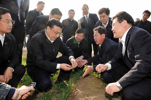 11月2日至4日,中共中央政治局常委、国务院副总理李克强在山东考察。这是11月3日,李克强在潍坊昌邑市饮马镇杨庄村麦田考察。新华社记者 饶爱民 摄