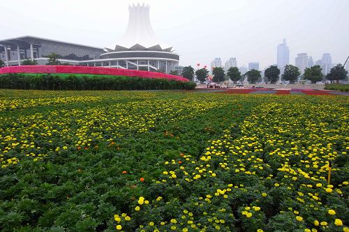 织11国纽带--广西全面对接东盟服务国家外交大