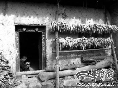 �ſ����һƶ��ϴ��Ϊ�˺��������ò��������е�һ������