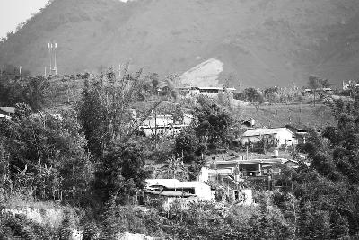 �߷ù���ս����Ӱ�µ���ɡ���ӽ�ž�Ϊ������