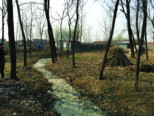 �����ձ�����486��̨��ׯ��ʿ��ǻ�Ұ67�ء�