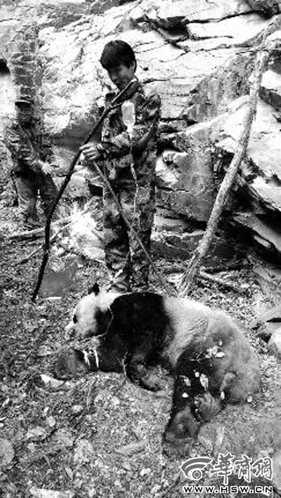 ������Ա��������ɽ���һ��ʯ�¾������˵Ĵ���è