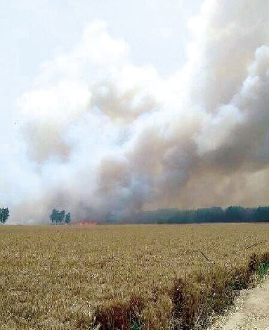 �����߲���ϵҥ��,���ػ���