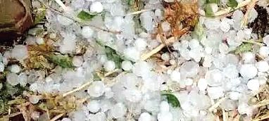 ���ػ���,����ΧŹ͵����