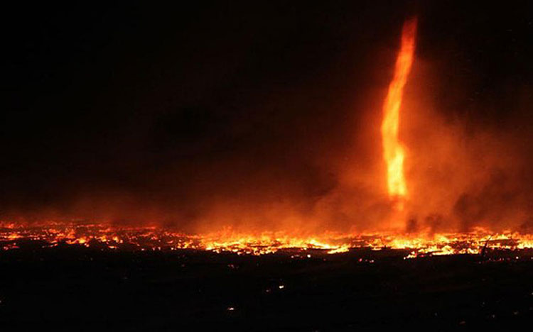 �㶫������20�׸߻�����