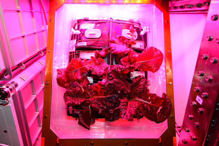 ���ʿռ�վ�ۺ����������˷��� �Ա�׳���