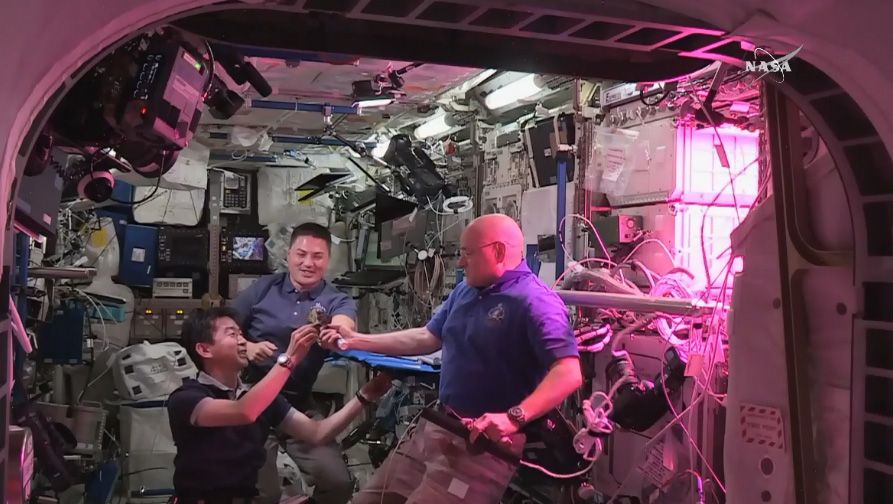 ���ʿռ�վ�ۺ����������˷��� �Ա�׳���