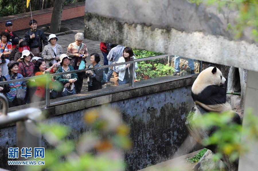 (经济)(7)两岸“三通”五年间 (经济)(7)两岸“三通”五年间