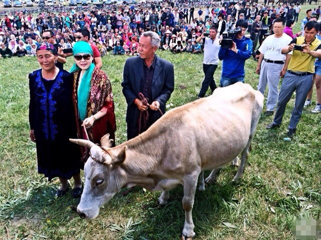 ��ͼ��̨�����޸��½������������� Ů����¥������