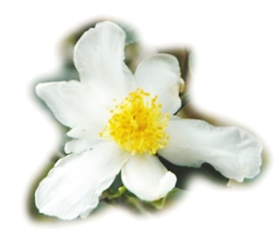 ����̽������̨�Σ�