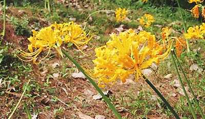 ����̽������̨�Σ�