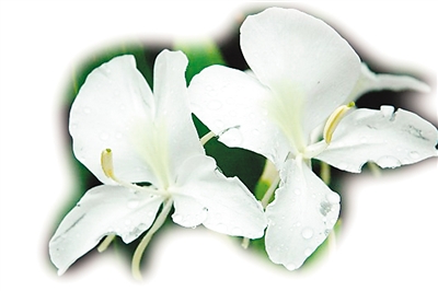 ����̽������̨�Σ�