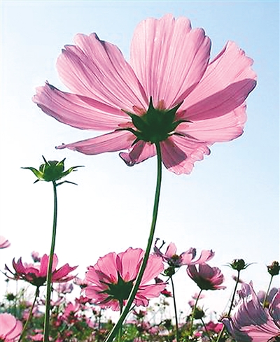 ����̽������̨�Σ�