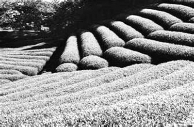 ̨��ϱ������� �������ٸ�ũҵ(ͼ)