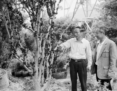 首家闽台合伙农场探新路“摇钱树”如何长成大产业 首家闽台合伙农场探新路“摇钱树”如何长成大产业