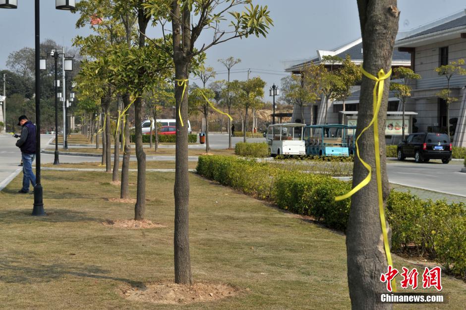 ��ͼ��̨�帴�˿��Ѳ�����Ѵ�½�ÿ������˷�����