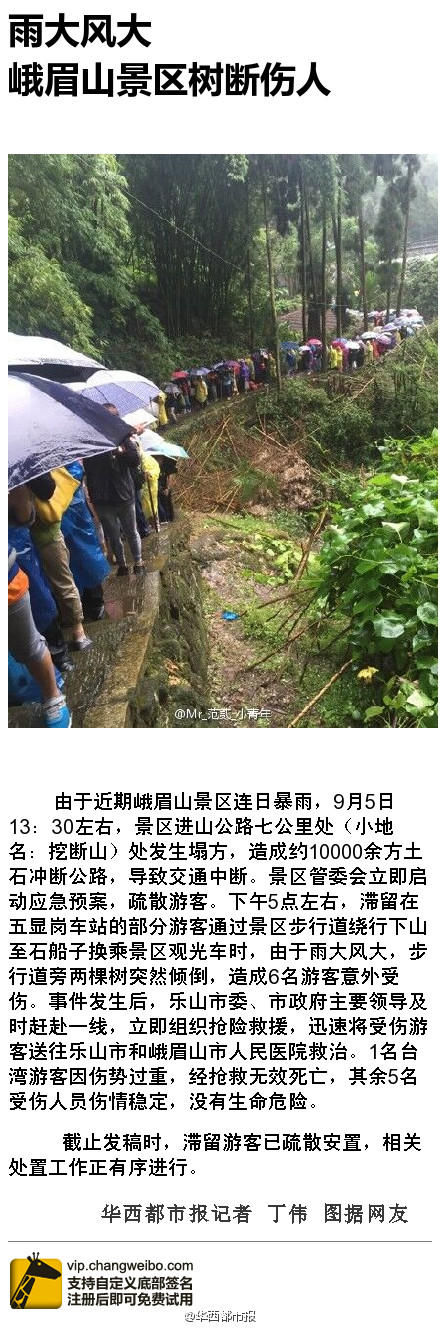 峨眉山景区树断伤人