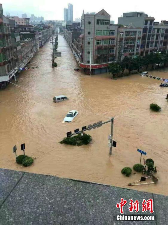 ���Ხ�ء���½����ʯʨ �����������