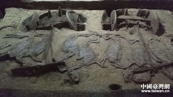 ��ͷ�еĺ������ݣ��ݻ������󡢲�ɣ�ų�ǽ