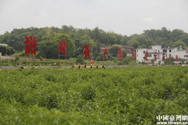 ͷеƶ¡׼ƶΪũҳ·