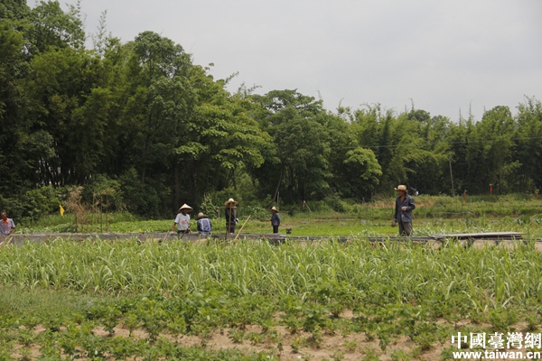 ͷеƶ¡׼ƶΪũҳ·