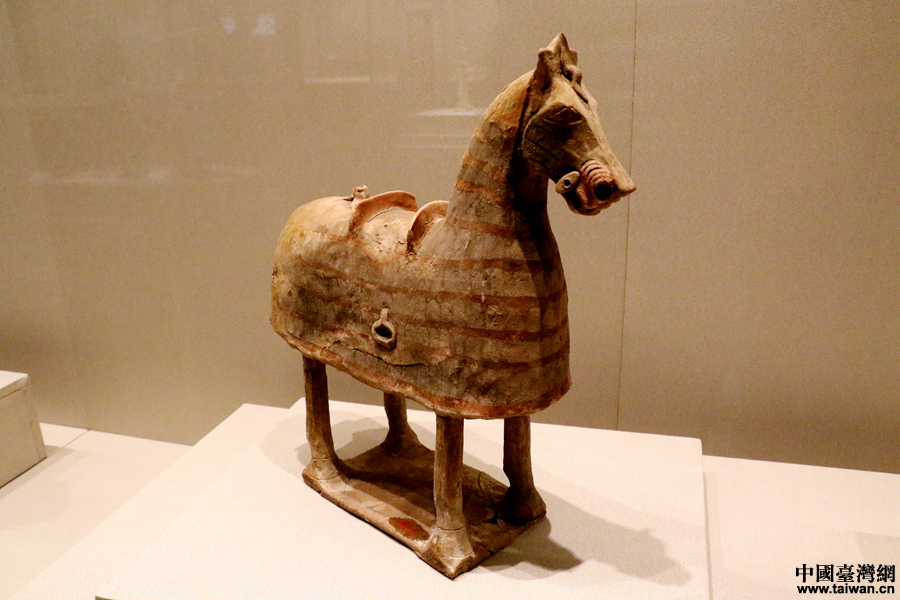 台湾棒球小子走进南山博物馆 领会历史人文感受深圳变革成就