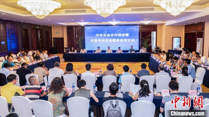 图为活动现场。四川省台办供图