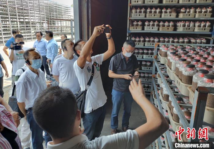 8月27日,在川台商参观考察台资农业企业。 王鹏 摄