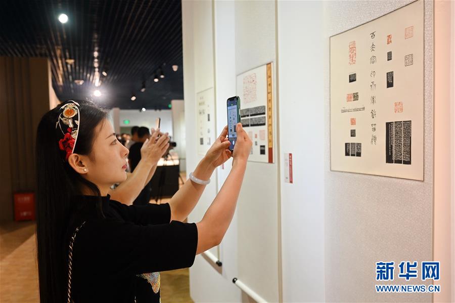 (文化)(1)第五届海峡两岸中青年篆刻大赛作品在福州亮相