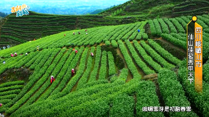 ��üɽ�����ٻ��Ȧ