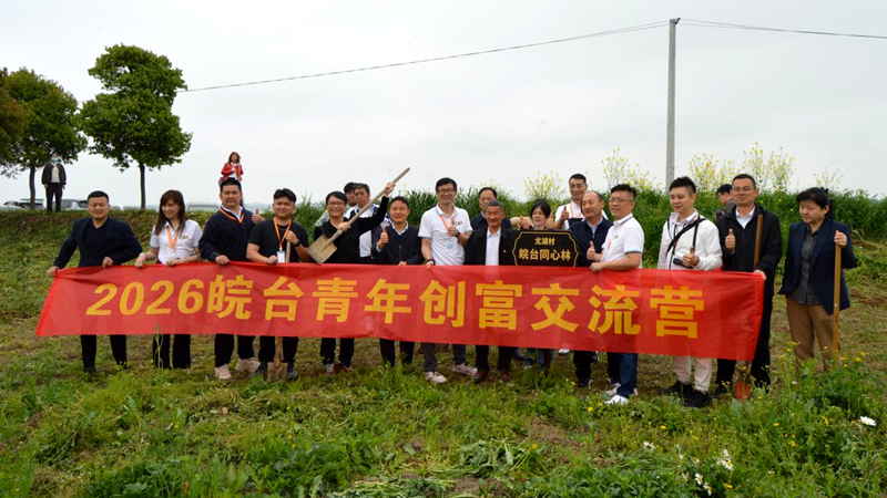 2026��̨���괴������Ӫ�ڰ��վٰ�