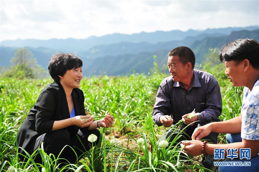 乌蒙腊梅余留芬:带头与贫困较劲的拼命支