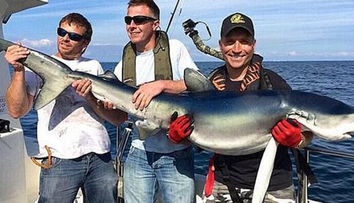 ������Ӣ���򲶻�228�������� ��58������¼