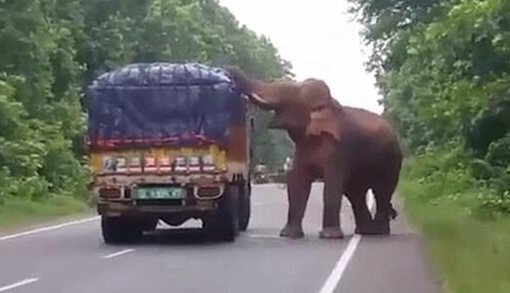 ӡ��������·���������������� ���ͺ󵭶��뿪