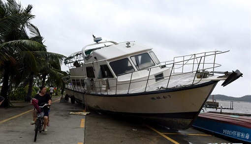 ̨���½�ֳ�ֱ���������ϡ���·�������Ρ�����