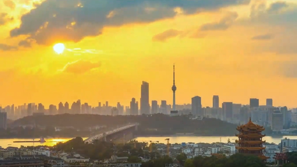 ѭ������