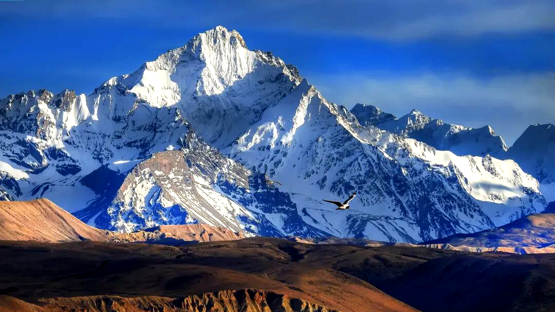 ���죬����������Ҫ�����ˣ�