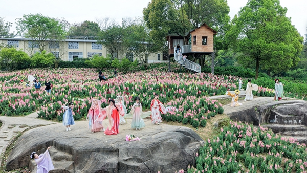 �ٻ�ʢ��ӭ���� �������վ����»���