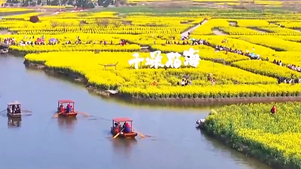 ��ҵ̬�ںϷ�չ �������ò�ҵ�¶���